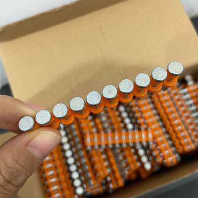 6.3 mm Diametro della testa 19 mm 22 mm Chiodi di cemento collato per la costruzione e la costruzione