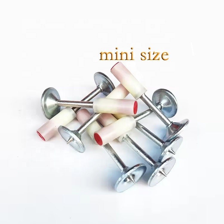 7.3mm Testa 25mm Lunghezza Mini stile chiodi rotondi con 16mm metal washer e ferro